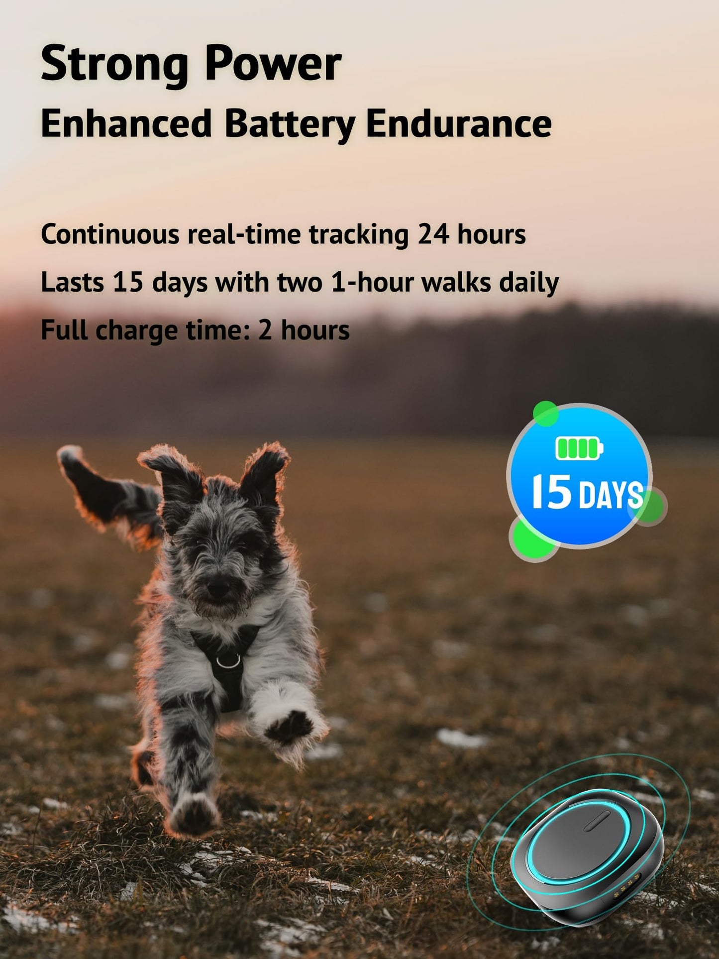 Aorkuler GPS Dog Tracker – No Monthly Fees, Real-Time Tracking