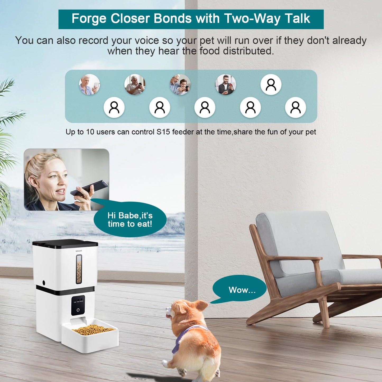 DoHonest Automatic Dog Feeder with Camera