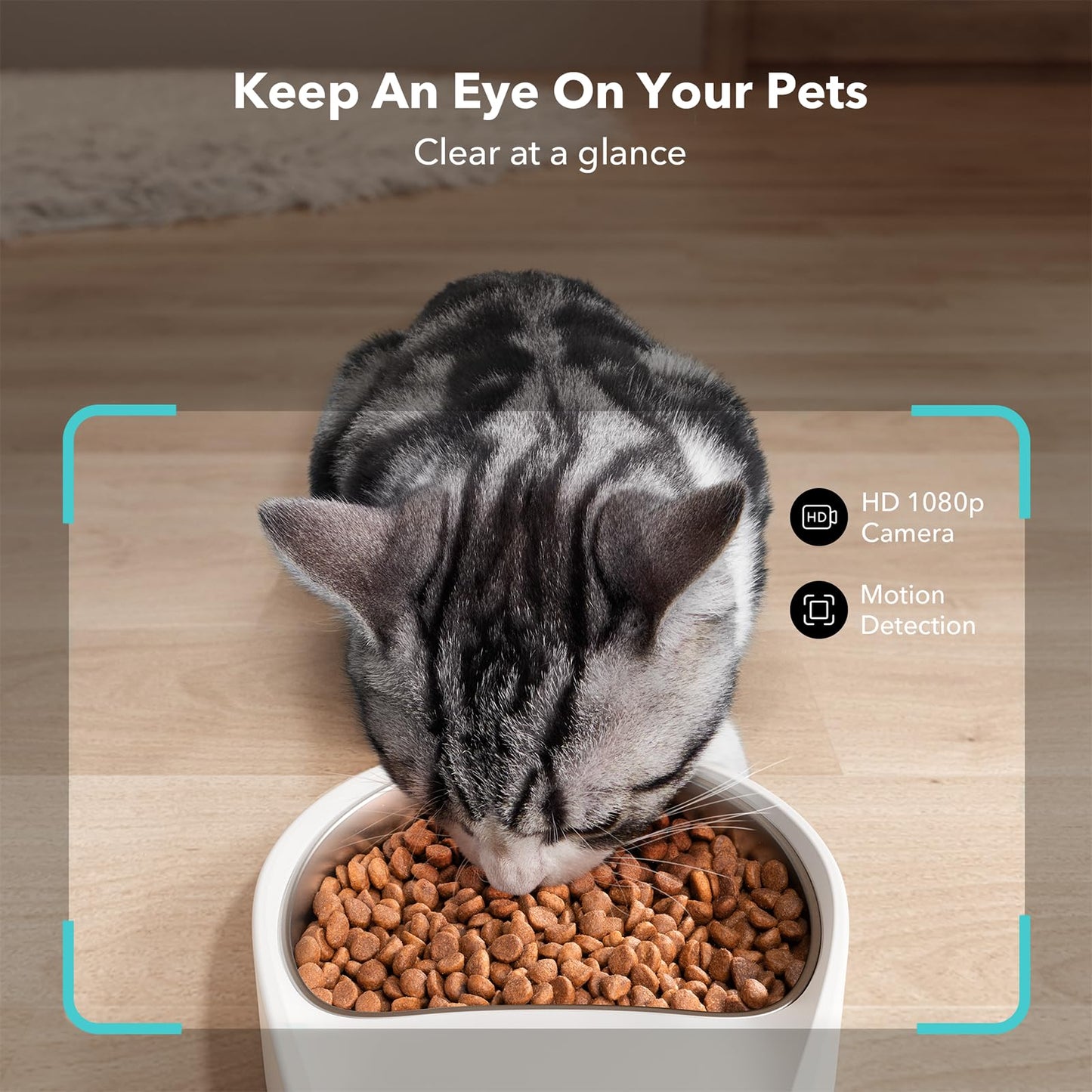 PETLIBRO Automatic Cat Feeder Wi-Fi Control & Meal Call+ Free Shipping