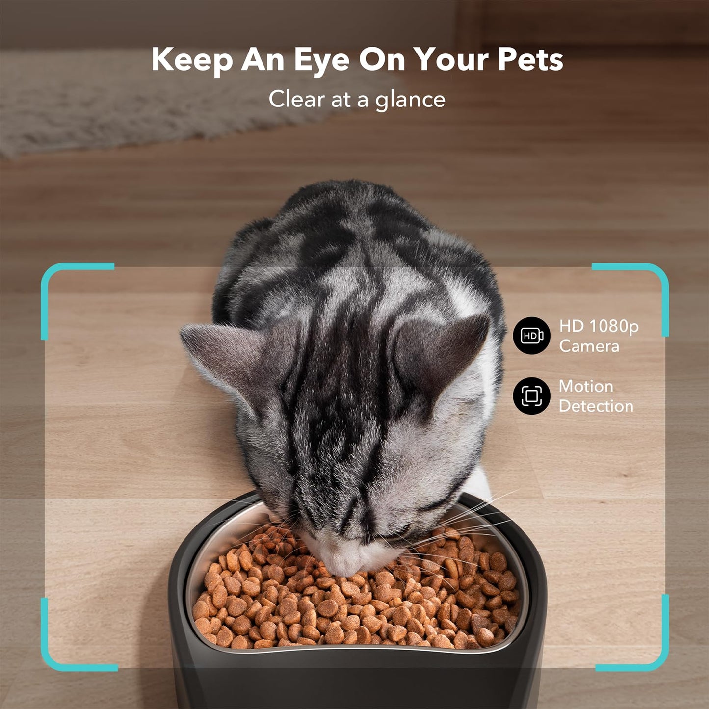 PETLIBRO Automatic Cat Feeder Wi-Fi Control & Meal Call+ Free Shipping